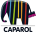 caparol_rgb